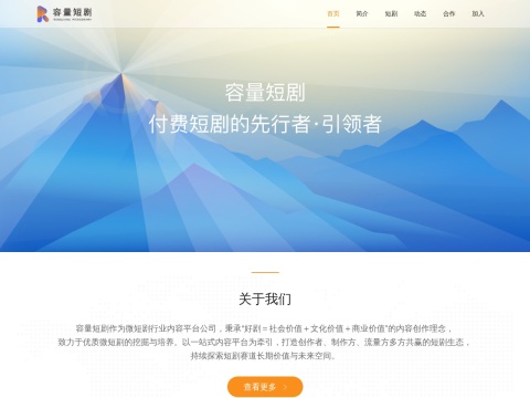 网站预览