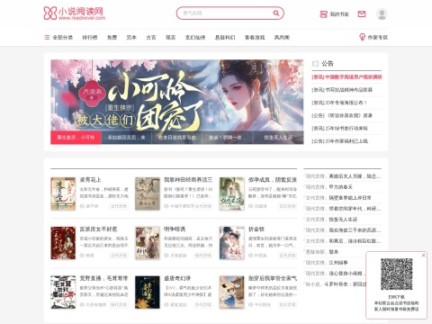 网站预览
