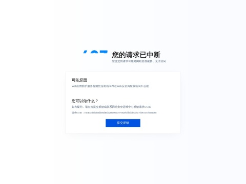 网站预览
