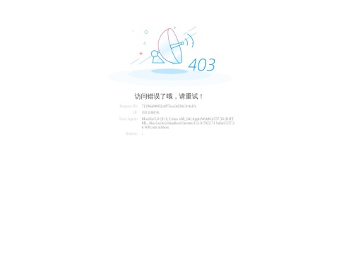 网站预览