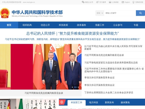 网站预览