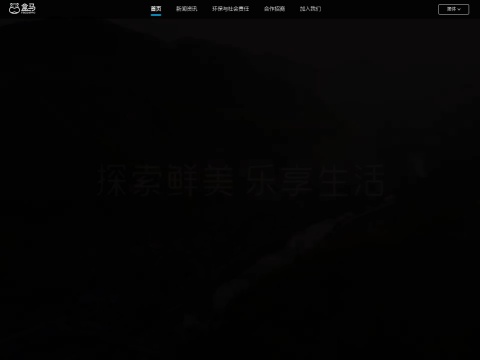 网站预览