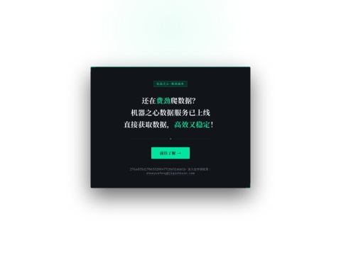 网站预览