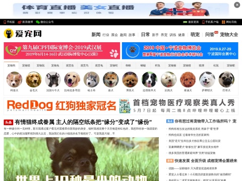 网站预览