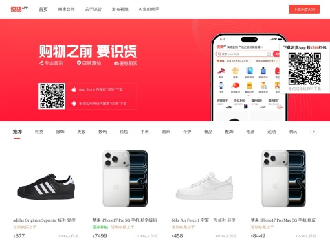 网站预览