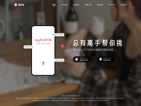 网站预览