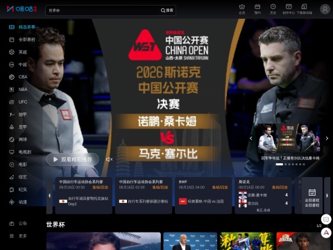 网站预览