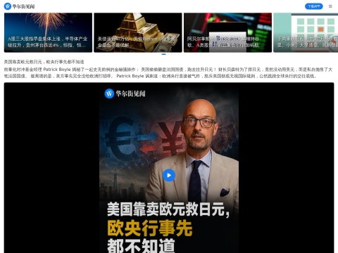 网站预览