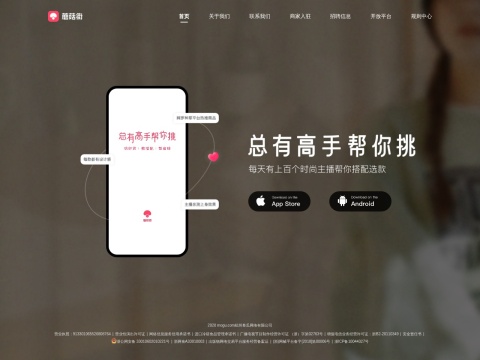网站预览