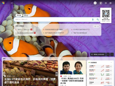 网站预览