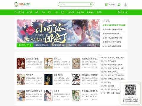 网站预览