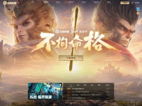 网站预览