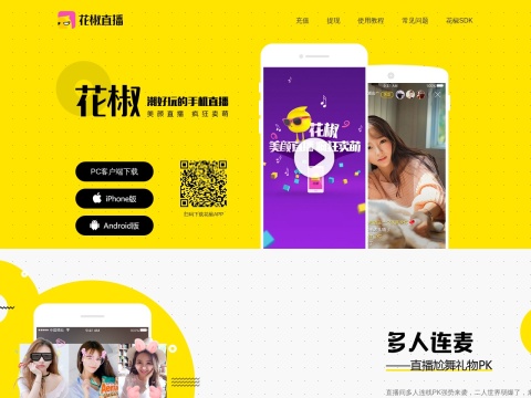 网站预览