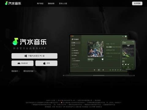 网站预览