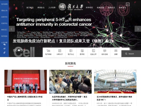 网站预览