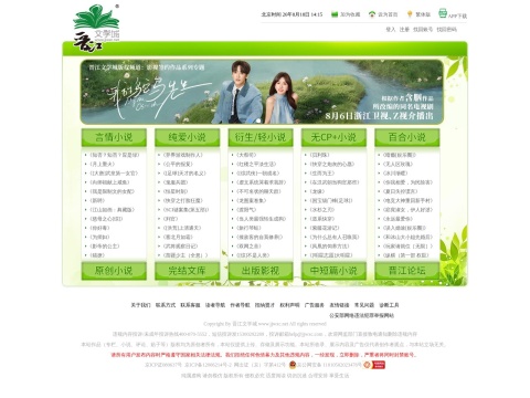 网站预览