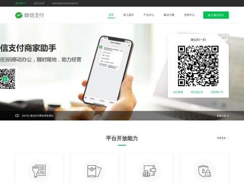 网站预览
