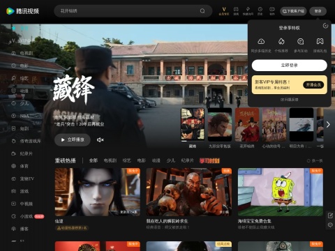 网站预览