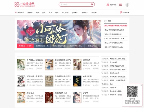 网站预览
